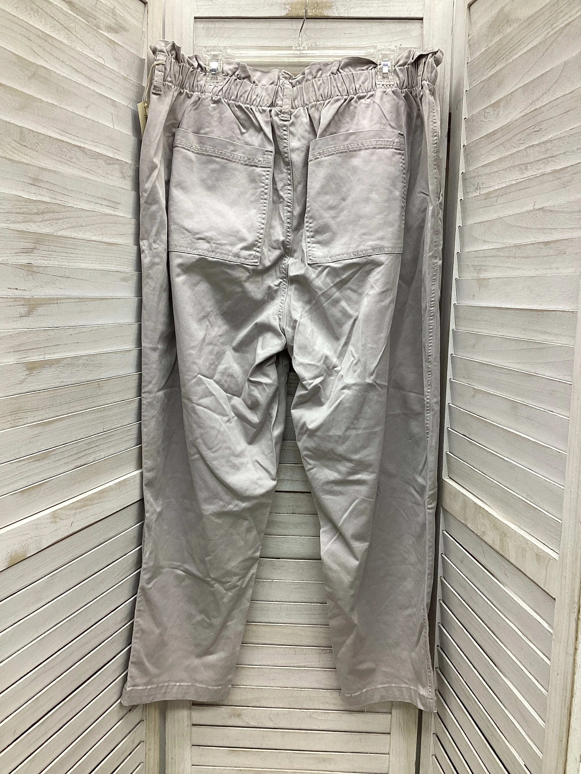 Pants Cargo & Utility By Universal Thread In Grey, Size: 20